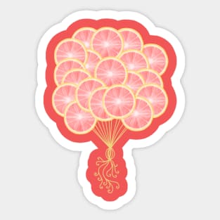 Pink Grapefruit Citrus Balloons Sticker